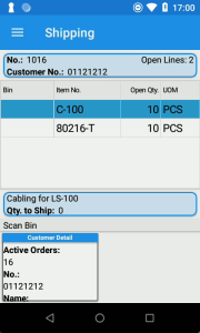 Customer Detail Shipping