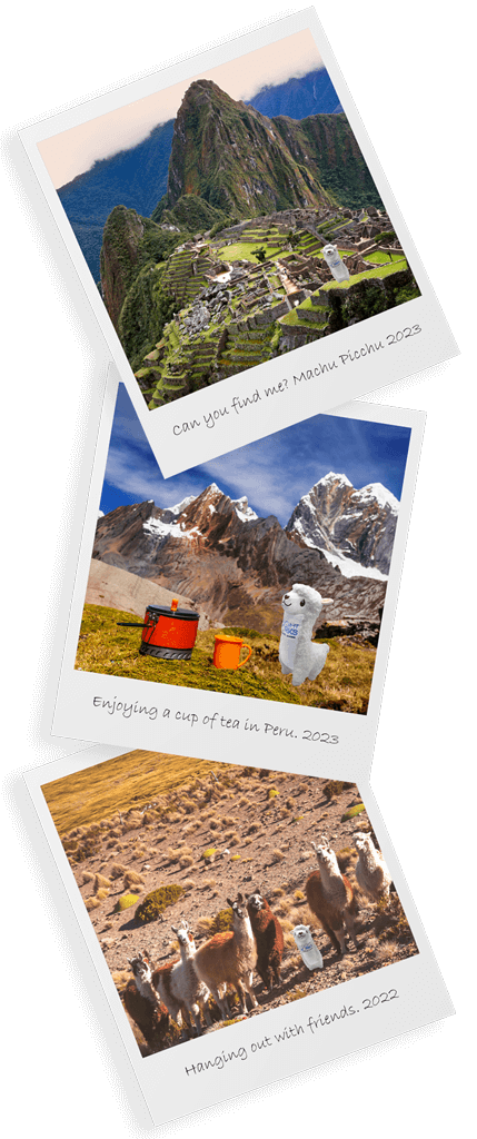 Logistics Llama vertical polaroids