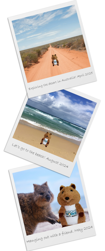 Quality Quokka Polaroids