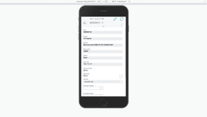 Quality Test on Phone for Quality Inspector