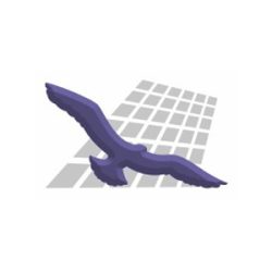 KVS Consulting Services